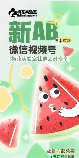 梅花实验室2024年AB技术视频号AB合成破解版-柯南聊项目