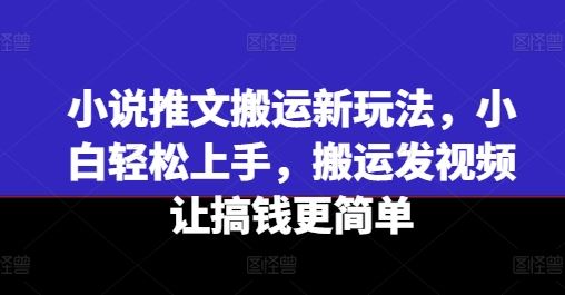 小说推文搬运新玩法，小白轻松上手，搬运发视频让搞钱更简单-柯南聊项目