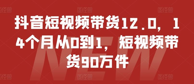 抖音短视频带货12.0，14个月从0到1，短视频带货90万件-柯南聊项目