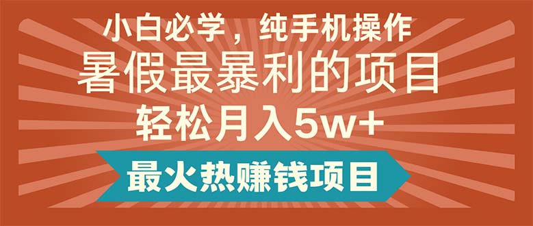 （11583期）小白必学，纯手机操作，暑假最暴利的项目轻松月入5w+最火热赚钱项目-柯南聊项目