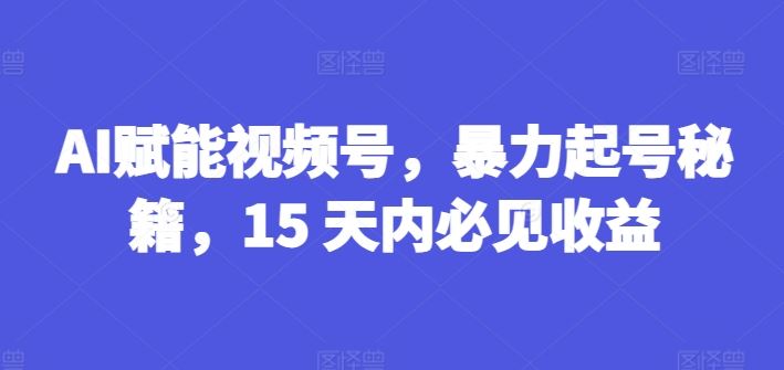 AI赋能视频号，暴力起号秘籍，15 天内必见收益【揭秘】-柯南聊项目