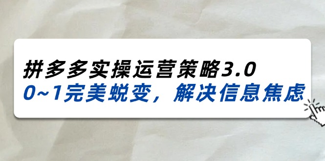 （11658期）2024_2025拼多多实操运营策略3.0，0~1完美蜕变，解决信息焦虑（38节）-柯南聊项目