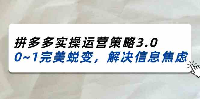 2024-2025拼多多实操运营策略3.0，0~1完美蜕变，解决信息焦虑（38节）-柯南聊项目