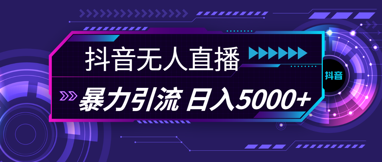 （11709期）抖音无人直播，暴利引流，日入5000+-柯南聊项目