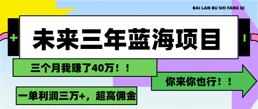 （11716期）未来三年，蓝海赛道，月入3万+-柯南聊项目