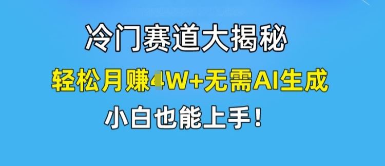 冷门赛道大揭秘，轻松月赚1W+无需AI生成，小白也能上手【揭秘】-柯南聊项目