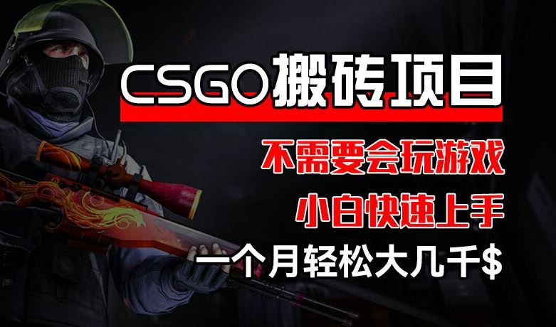 CSGO 装备搬砖项目，操作简单，不需要会玩游戏，小白也能快速上手，一个月轻松大几千【揭秘】-柯南聊项目
