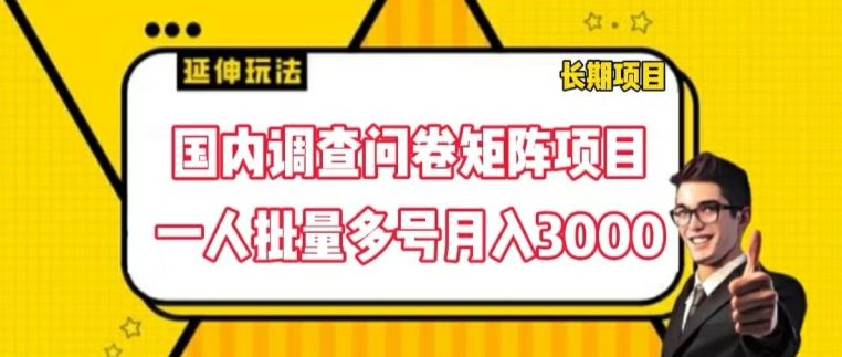 国内调查问卷矩阵项目，一人批量多号月入3000【揭秘】-柯南聊项目