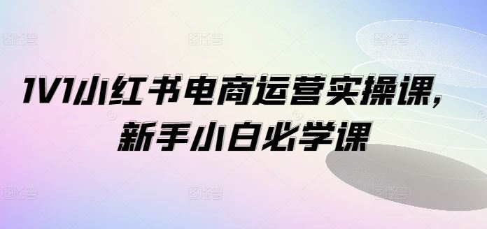 1V1小红书电商运营实操课，新手小白必学课-柯南聊项目