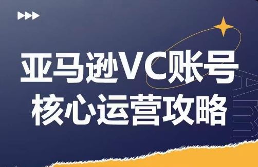 亚马逊VC账号核心玩法解析，实战经验拆解产品模块运营技巧，提升店铺GMV，有效提升运营利润-柯南聊项目