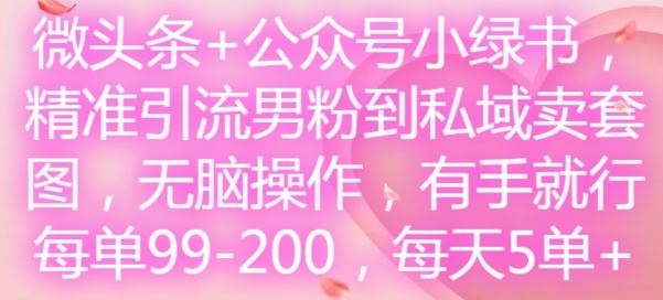 微头条+公众号小绿书,精准引流男粉到私域卖套图,无脑操作,有手就行,每单99-200,每天5单-柯南聊项目