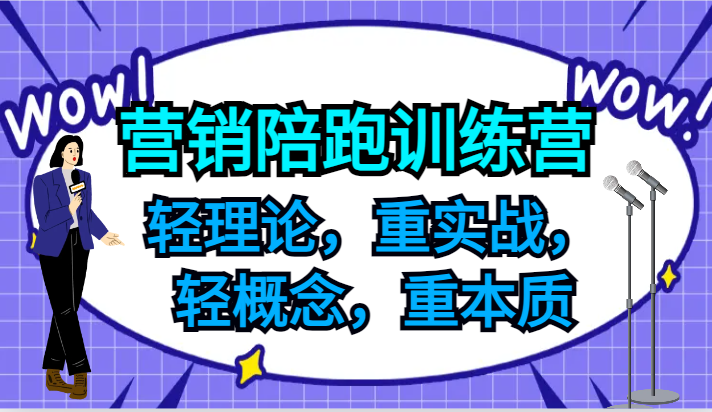 营销陪跑训练营，轻理论，重实战，轻概念，重本质，适合中小企业和初创企业的老板-柯南聊项目