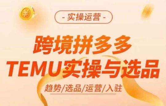 跨境拼多多TEMU实操与选品，多多temu跨境选品运营实操-柯南聊项目