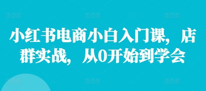 小红书电商小白入门课，店群实战，从0开始到学会-柯南聊项目