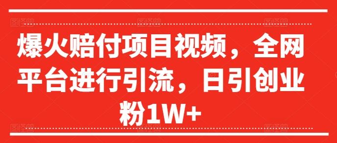 爆火赔付项目视频，全网平台进行引流，日引创业粉1W+【揭秘】-柯南聊项目