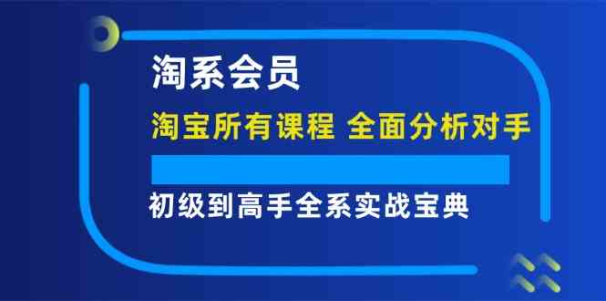 淘系会员初级到高手全系实战宝典【淘宝所有课程，全面分析对手】-柯南聊项目