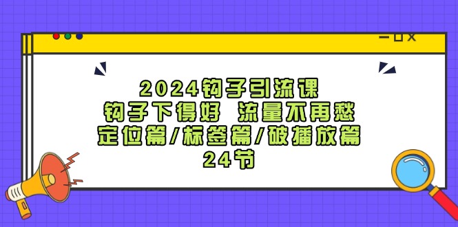 2024钩子引流课：钩子下得好流量不再愁，定位篇/标签篇/破播放篇/24节-柯南聊项目