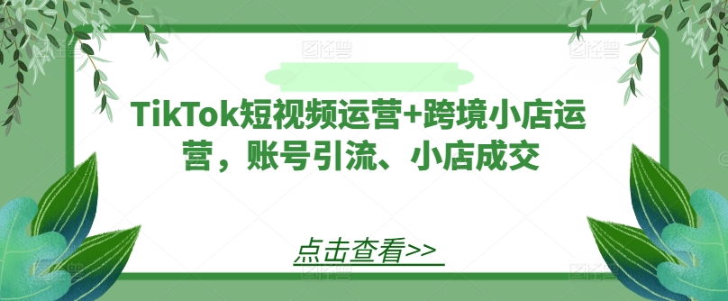 TikTok短视频运营+跨境小店运营，账号引流、小店成交-柯南聊项目