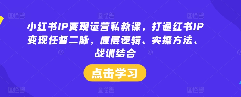 小红书IP变现运营私教课，打通红书IP变现任督二脉，底层逻辑、实操方法、战训结合-柯南聊项目