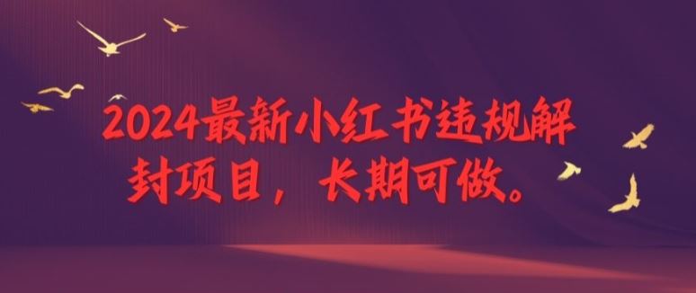 2024最新小红书违规解封项目，长期可做，一个可以做到退休的项目【揭秘】-柯南聊项目