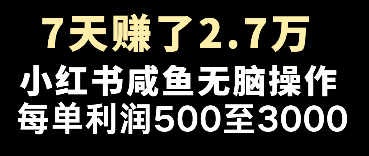 七天赚了2.7万！每单利润最少500+，轻松月入5万+小白有手就行-柯南聊项目