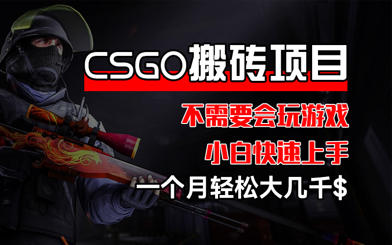 （12332期）CSGO 装备搬砖项目，操作简单，不需要会玩游戏，小白也能快速上手，一…-柯南聊项目