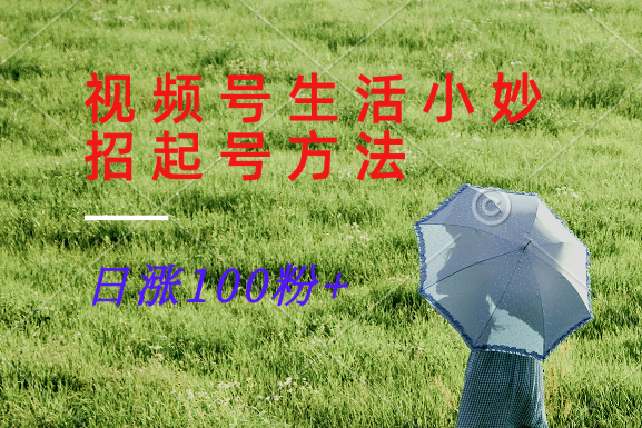 视频号生活小妙招分享赛道， 起号涨粉新方法，日涨100粉-柯南聊项目