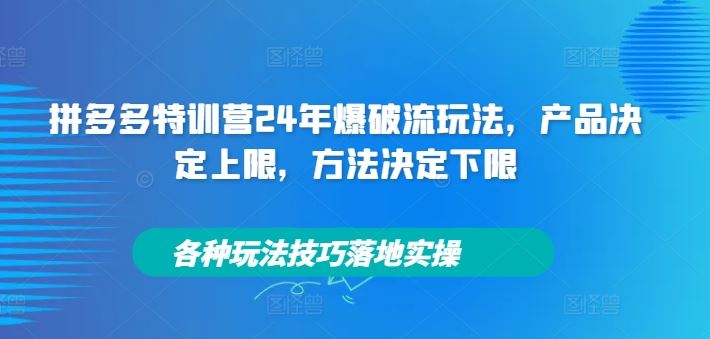 拼多多特训营24年爆破流玩法，产品决定上限，方法决定下限，各种玩法技巧落地实操-柯南聊项目