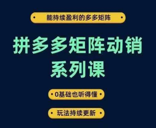 拼多多矩阵动销系列课，能持续盈利的多多矩阵，0基础也听得懂，玩法持续更新-柯南聊项目