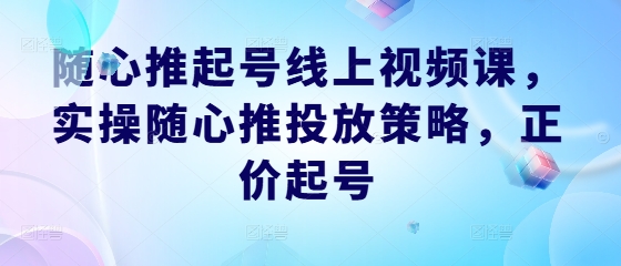 随心推起号线上视频课，实操随心推投放策略，正价起号-柯南聊项目