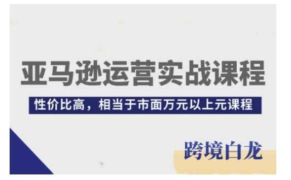亚马逊运营实战课程，亚马逊从入门到精通，性价比高，相当于市面万元以上元课程-柯南聊项目