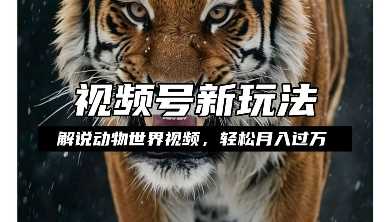 利用动物世界解说视频，赚分成计划收益，轻松月入过W，操作简单【揭秘】-柯南聊项目