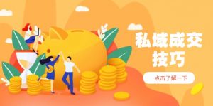 私域成交技巧，帮你从入门到精通，破解四大痛点，快速变现，轻松收钱-柯南聊项目