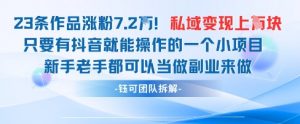 抖音私域项目23条作品涨粉7.2W，私域变现1W-柯南聊项目