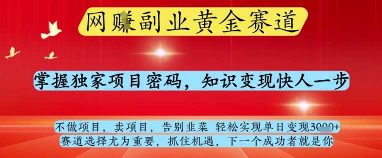 网创副业黄全赛道，掌握独家项目密码，知识变现快人一步，告别韭菜轻松实现单日变现1k+【揭秘】-柯南聊项目