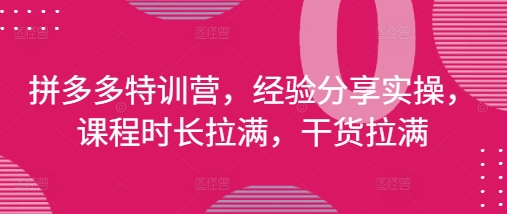 拼多多特训营，经验分享实操，课程时长拉满，干货拉满(更新25年4月)-柯南聊项目