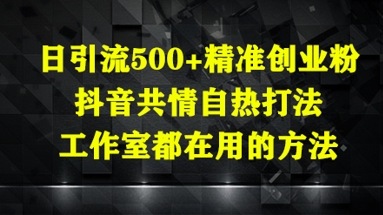 日引流500+精准创业粉，抖音共情自热打法，工作室都在用的方法-柯南聊项目
