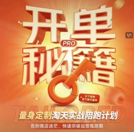 淘宝开单秘籍PRO，量身定制淘天实战陪跑计划，告别做店迷茫、快速突破运营瓶颈期(更新)-柯南聊项目
