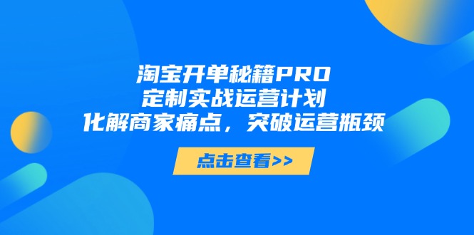 淘宝开单秘籍PRO，定制实战运营计划，化解商家痛点，突破运营瓶颈-柯南聊项目