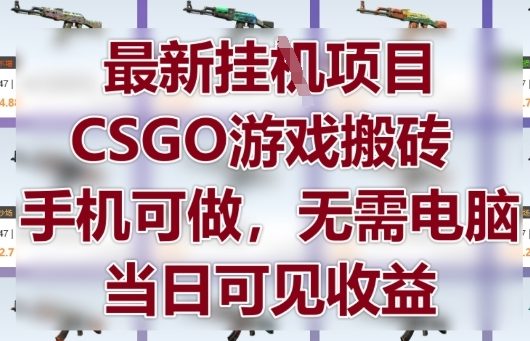 最新挂G项目，CSGO游戏搬砖，手机可做，无需电脑，当日见收益【揭秘】-柯南聊项目