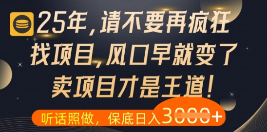 什么？25年你还在疯狂找项目做，醒醒吧，看完这些你全都懂了【揭秘】-柯南聊项目