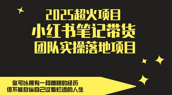 2025超火项目，副业最佳选择，小红书笔记带货团队实操落地项目，，轻松日入5张-柯南聊项目