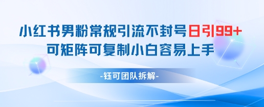 小红书男粉常规引流不封号日引99+变现简单 可矩阵可复制小白容易上手-柯南聊项目