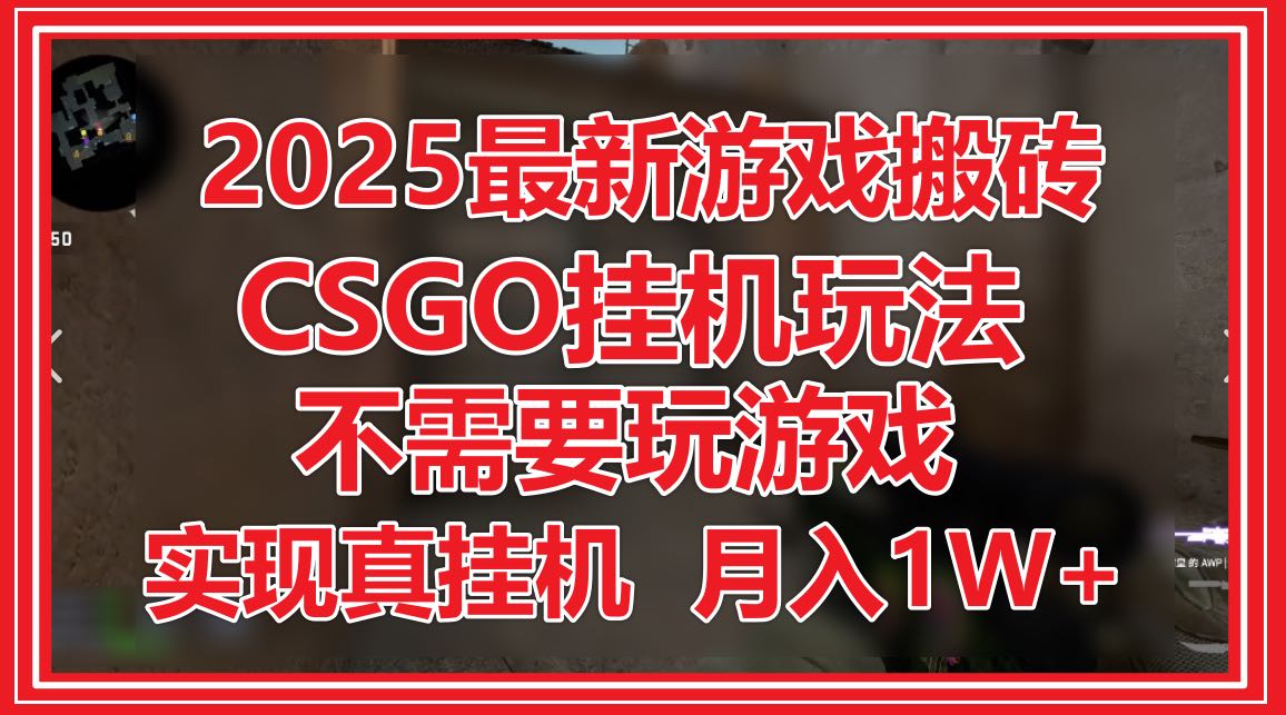 2025最新游戏搬砖，CSGO挂机，不需要玩游戏，实现真挂机，月入1W+-柯南聊项目