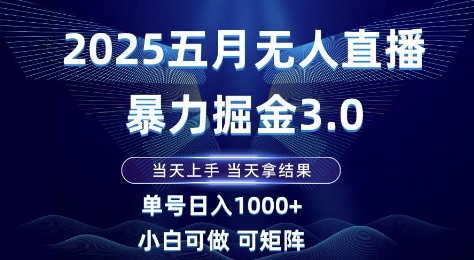 2025五月无人直播暴力掘金3.0，当天上手，当天拿结果，单号日入1k+小白可做可矩阵【揭秘】-柯南聊项目