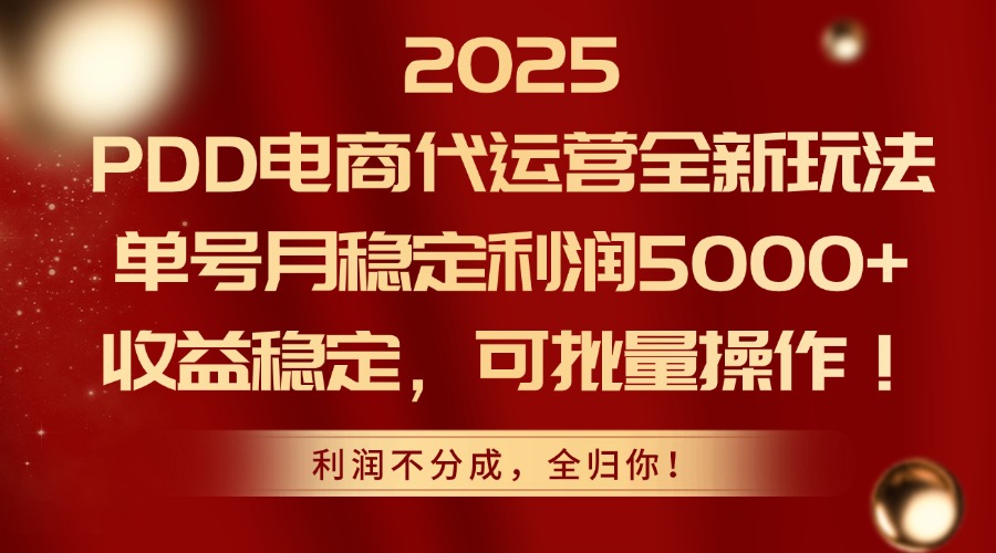 2025PDD电商代运营全新玩法，单号月稳定利润5000+，收益稳定，可批量操作-柯南聊项目