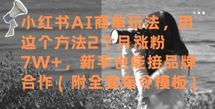 小红书AI商单玩法，用这个方法2个月涨粉7W+，新手也能接品牌合作(附全套指令模板)-柯南聊项目