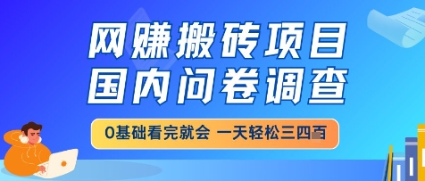 网创搬砖项目，国内问卷调查，小白轻松上手，一天三四张的也不难，干就完了【揭秘】-柯南聊项目