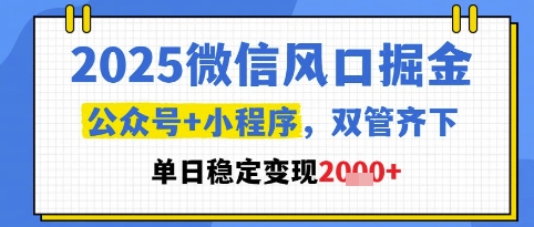 2025微信风口掘金，公众号+小程序双管齐下，单日稳定变现1k+【揭秘】-柯南聊项目