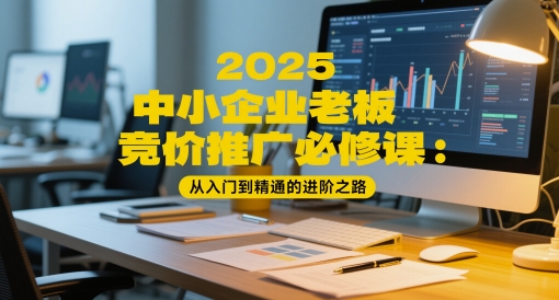 2025中小企业老板竞价推广必修课：从入门到精通的进阶之路-柯南聊项目
